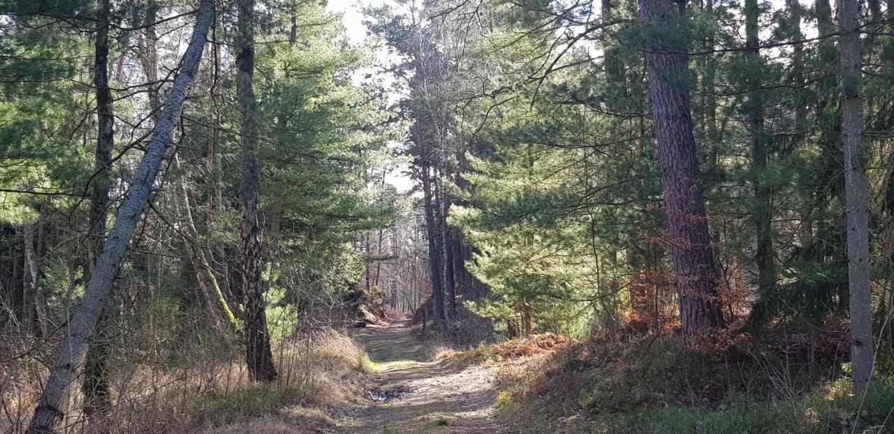 Villa Lipova Stegna Pokoje I Apartamenty Dedykowane Osobom Doroslym Exterior foto